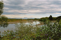 Flusslandschaft